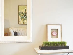 Services Wollongong Glaziers 2 Mirrors Caboolture